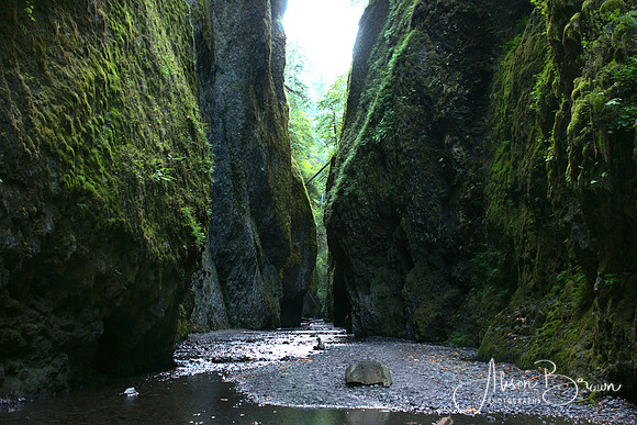 Oneata Gorge