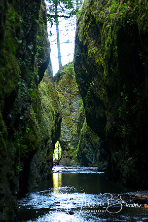 Oneata Gorge