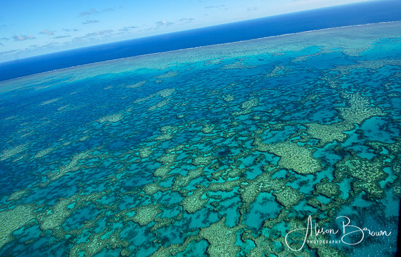 The Great Barrier Reef
