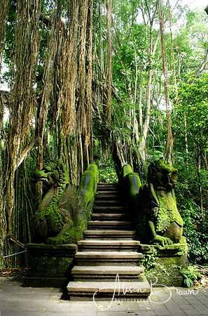 Ubud Monkey Forest, Bali