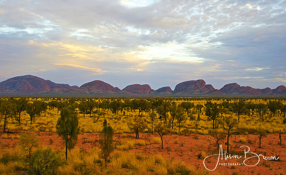 Kata Tjuta (the Olgas)