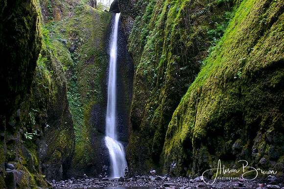 Oneata Gorge