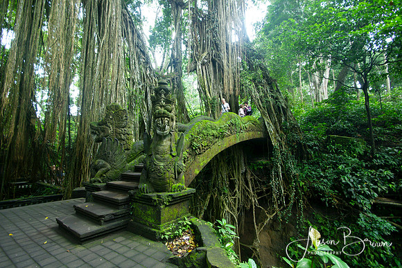 Ubud Monkey Forest