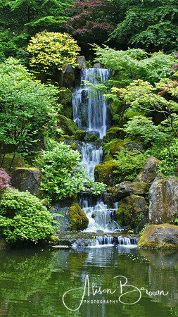 Japanese Gardens, Portland