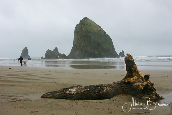Cannon Beach