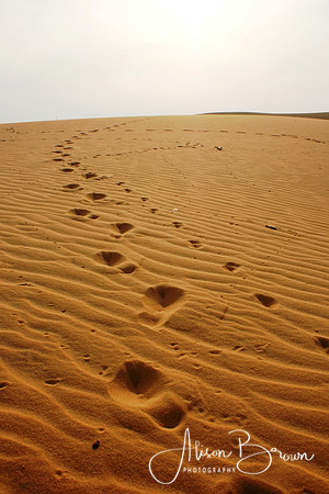 Mui Ne Sand Dunes