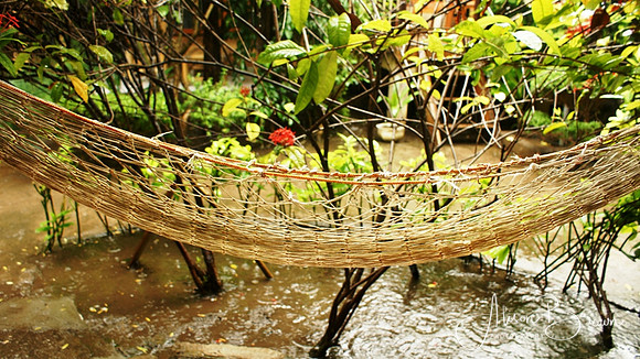 Hammock in the Storm
