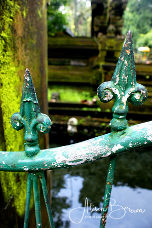 Rusted Gate