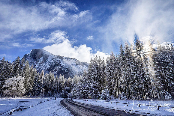 Winter Wonderland, Yosemite