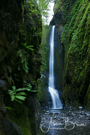 Oneata Falls