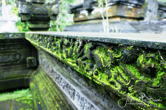 Green Moss