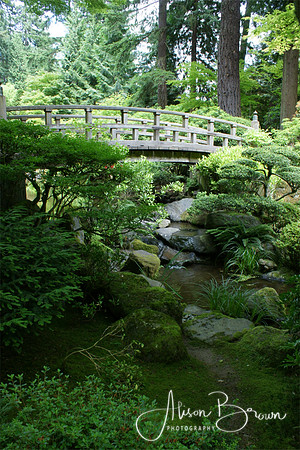 Strolling Pond Garden