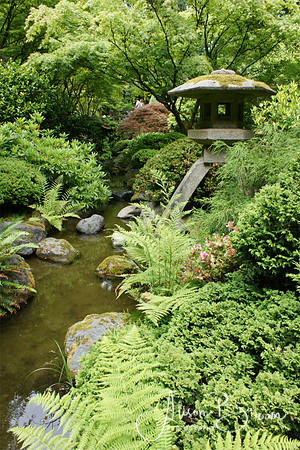 Strolling Pond Garden