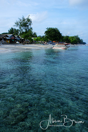 Coral Reefs of Gili Trawangan