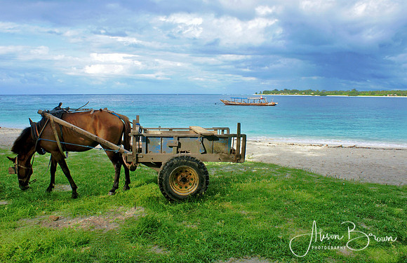 Transportation on Gili Trawangan