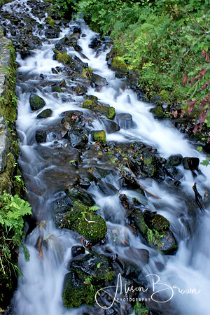 Oregon Waterfalls
