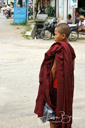 Young Buddhist Monk